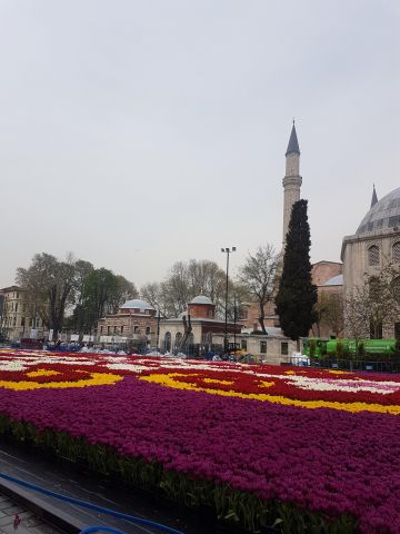 Turkey